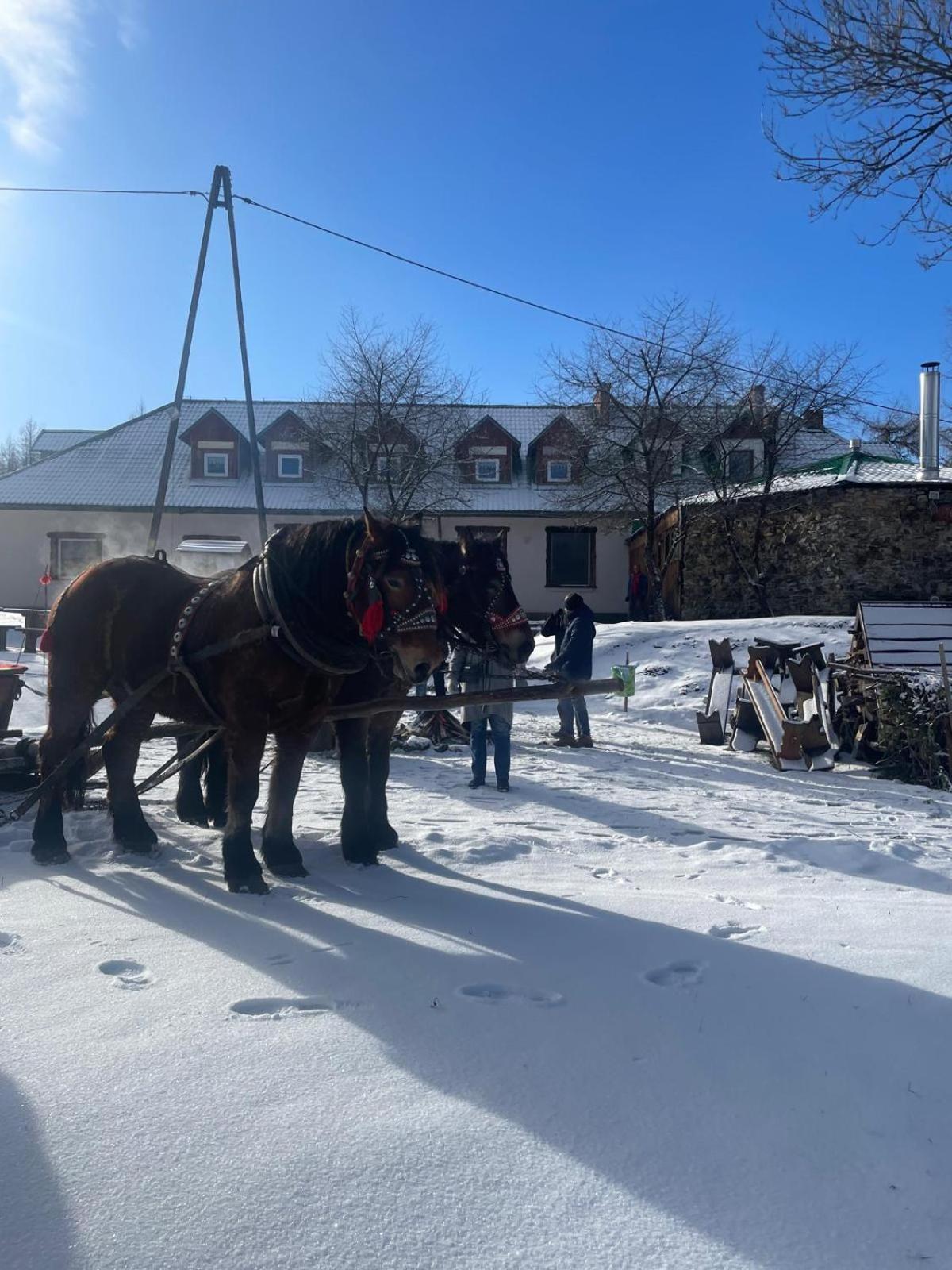 Latarnia Wagabundy Bieszczady Hotel Wola Michowa Kültér fotó