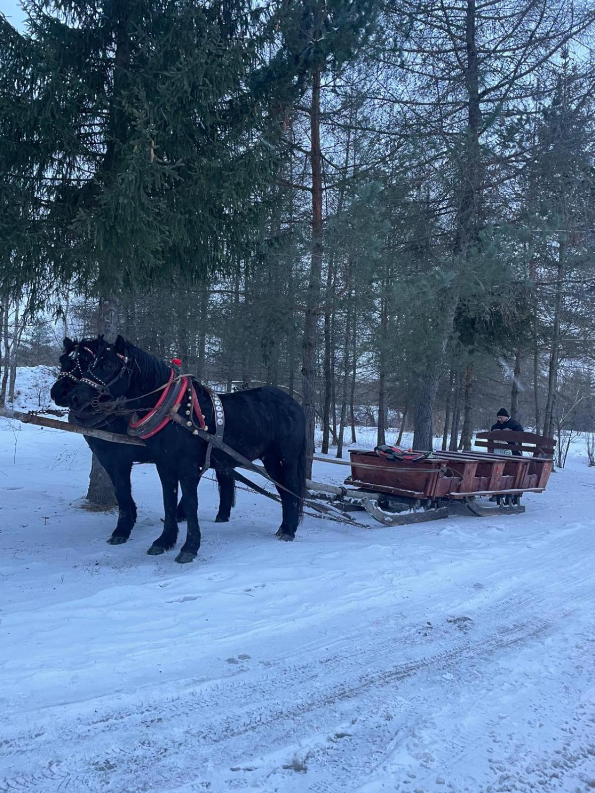 Latarnia Wagabundy Bieszczady Hotel Wola Michowa Kültér fotó