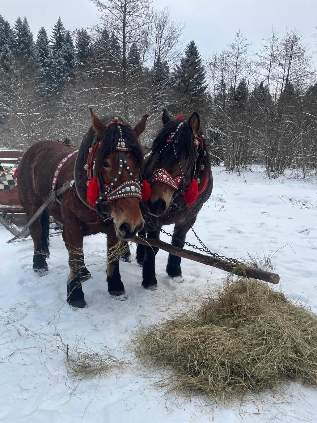 Latarnia Wagabundy Bieszczady Hotel Wola Michowa Kültér fotó