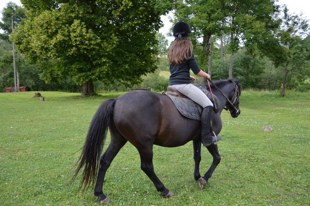 Latarnia Wagabundy Bieszczady Hotel Wola Michowa Kültér fotó